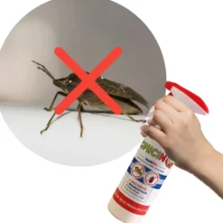 Insetticida per cimice, pulci e zecche Cimicino 500 ml