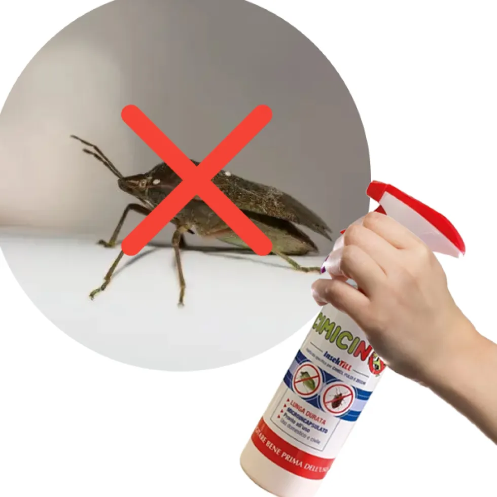 Insetticida per cimice, pulci e zecche Cimicino 500 ml