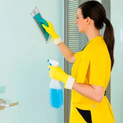 Kit Clean Glass - TTS Vetri - attrezzatura professionale per pulizia vetri