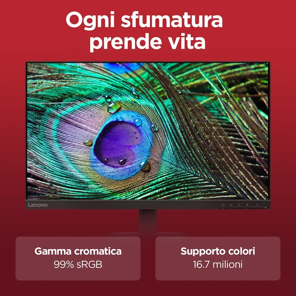 Monitor Lenovo L24-4e 23,8" Full HD 100Hz 4ms