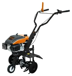 Moto zappa Maori 060425 Bxt 5680