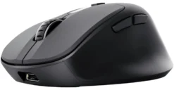 Mouse Trust 25991 ZEVO Fast Charge Black