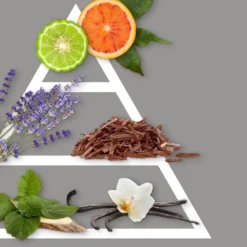 Profumatore ambiente con fiore 100 ml Sandalo Nobile