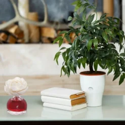 Profumatore ambiente con fiore Orchidea 100 ml Rosso Divino