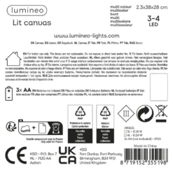 Quadro Natale Kaemingk 480631 Con luci Assortito