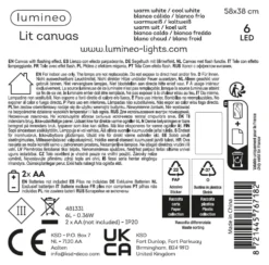 Quadro Natale Kaemingk 481331 Con luci