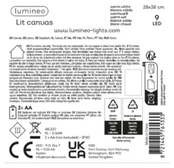 Quadro Natale Kaemingk 481337 Con luci