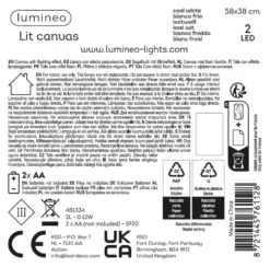 Quadro Natale Kaemingk 481334 Con luci