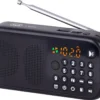 Radio digitale portatile Trevi DR7F40BT con Bluetooth e USB