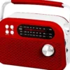 Radio portatile multibanda Trevi RDA 70 BR ricaricabile con USB e Micro SD
