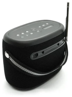 Radio portatile Pure 253344 Woodland Black