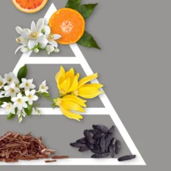 Ricarica per diffusore a bastoncini Neroli da 200 ml