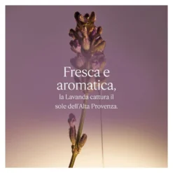 Sapone liquido L'Occitane en Provence ricarica alla lavanda karité con