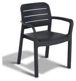 Sedia con braccioli Allibert K221209K939KK TISARA Grafite