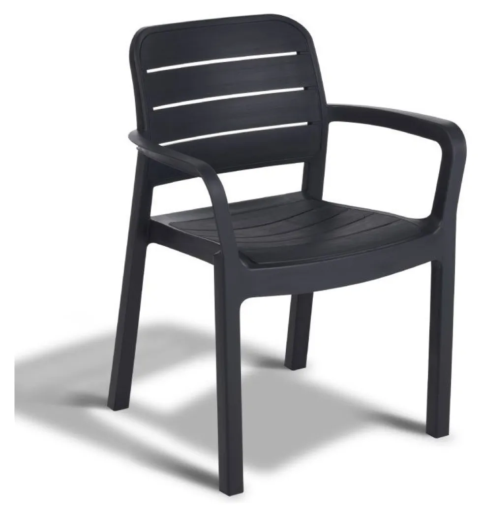 Sedia con braccioli Allibert K221209K939KK TISARA Grafite