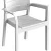 Sedia con braccioli Toomax Z0969SAA00800 RECANATI 969 Bianco
