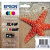 Set cartucce stampante Epson C13T03A94020 Multipack 603 Black Xl