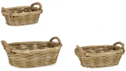 Set ceste Yes Everyday 0380983 JULEN 2 manici Naturale