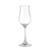 Set 6 liquorini grappa in vetro 100 ml - Degustazione