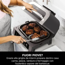 Sharkninja Griglia E Friggitrice Aria 1760W 3,8L 6Prog