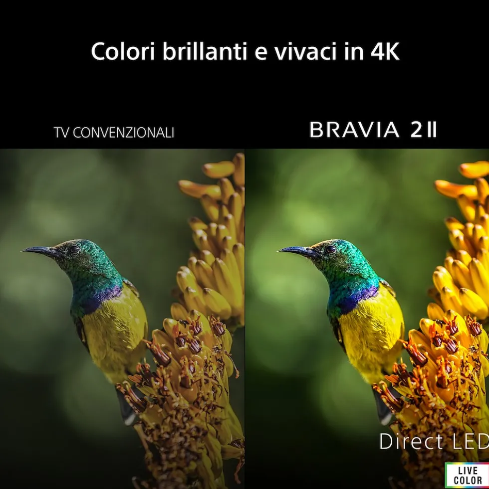 Smart TV Sony Bravia K55S25M2PB.CEI LED 4K 55" con Google TV