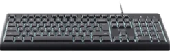 Tastiera computer Trust 25820 PRIMO Illuminated Black