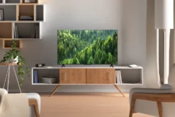 Televisore TCL 40S5L QLED Full HD Android TV