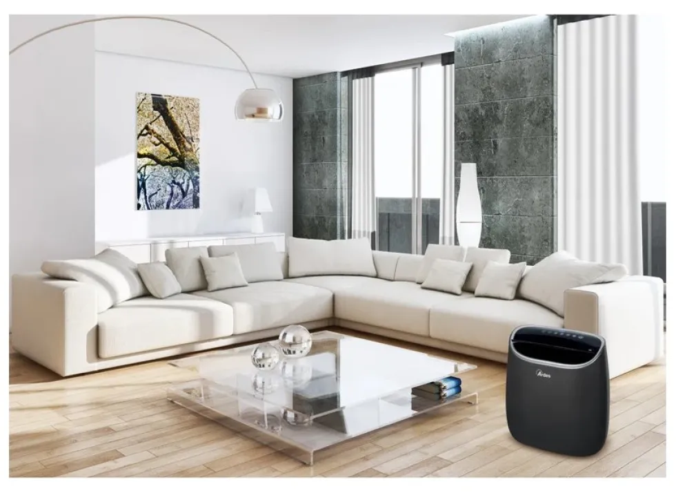 Termoventilatore Ardes AR4P17 STONE Black e Gray