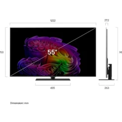 TV OLED 55'' LG ELECTRONICS Serie G6S OLED55G66LS con processore a11 Gen3