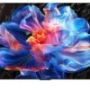 Tv Tcl 50P69K P SERIES Black