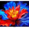 Tv Tcl 55P89K P SERIES Black