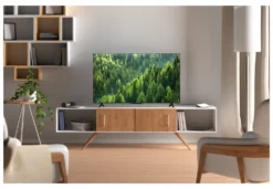 Tv Tcl 40S5L S SERIES Black