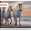 Tv Thomson 50UA5S13 Nero